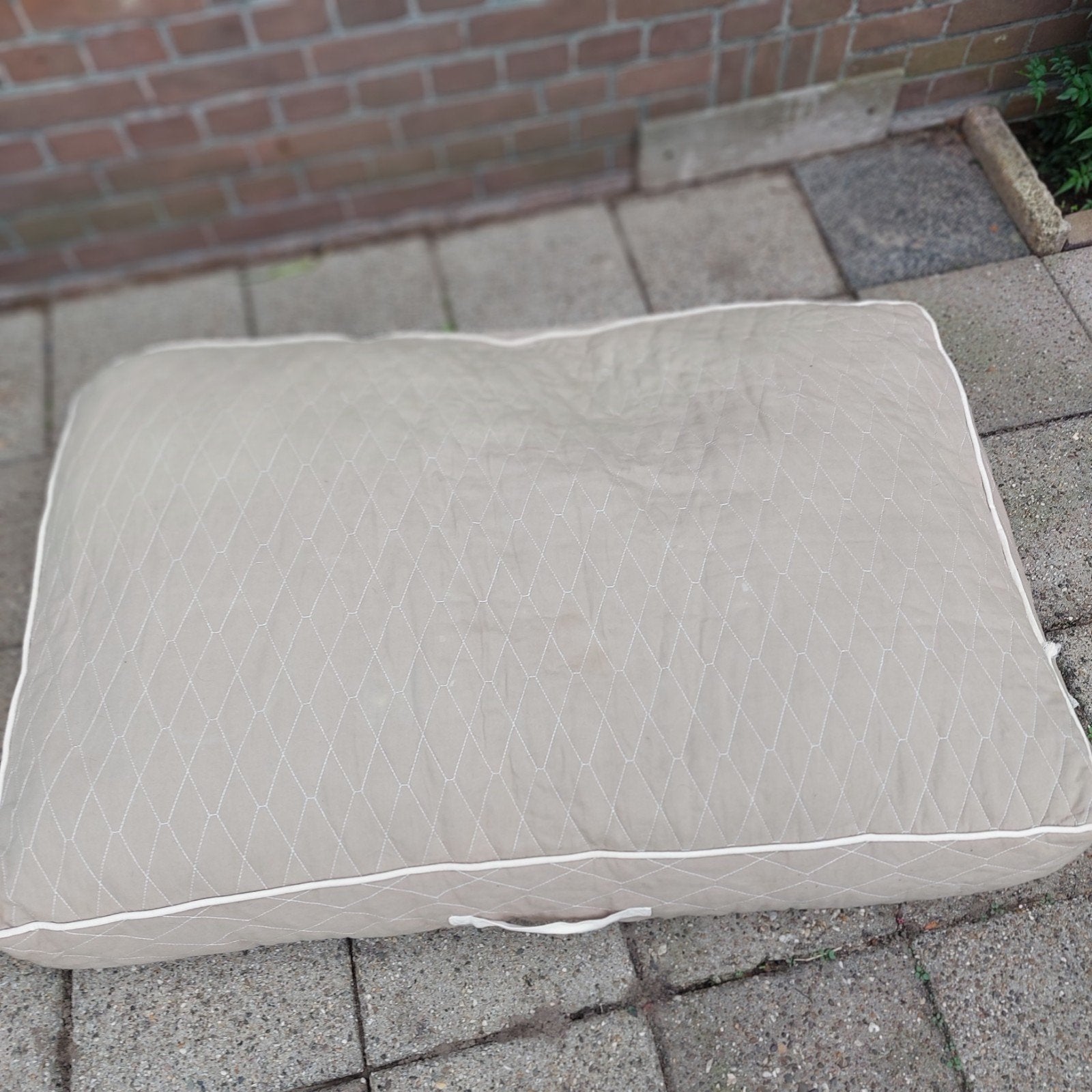dieren honde kussen 120 lang 70cm breed dik 18 cm⁸, Ophalen, Zo goed als nieuw