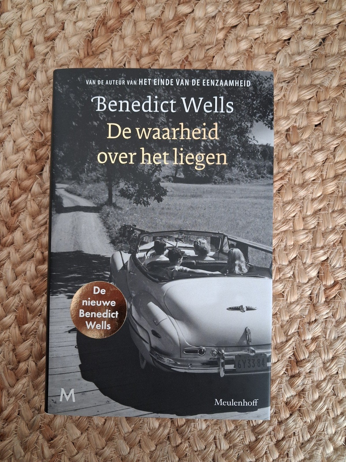 Benedict Wells , De waarheid over het liegen, gebonden, zgan, Boeken, Ophalen of Verzenden