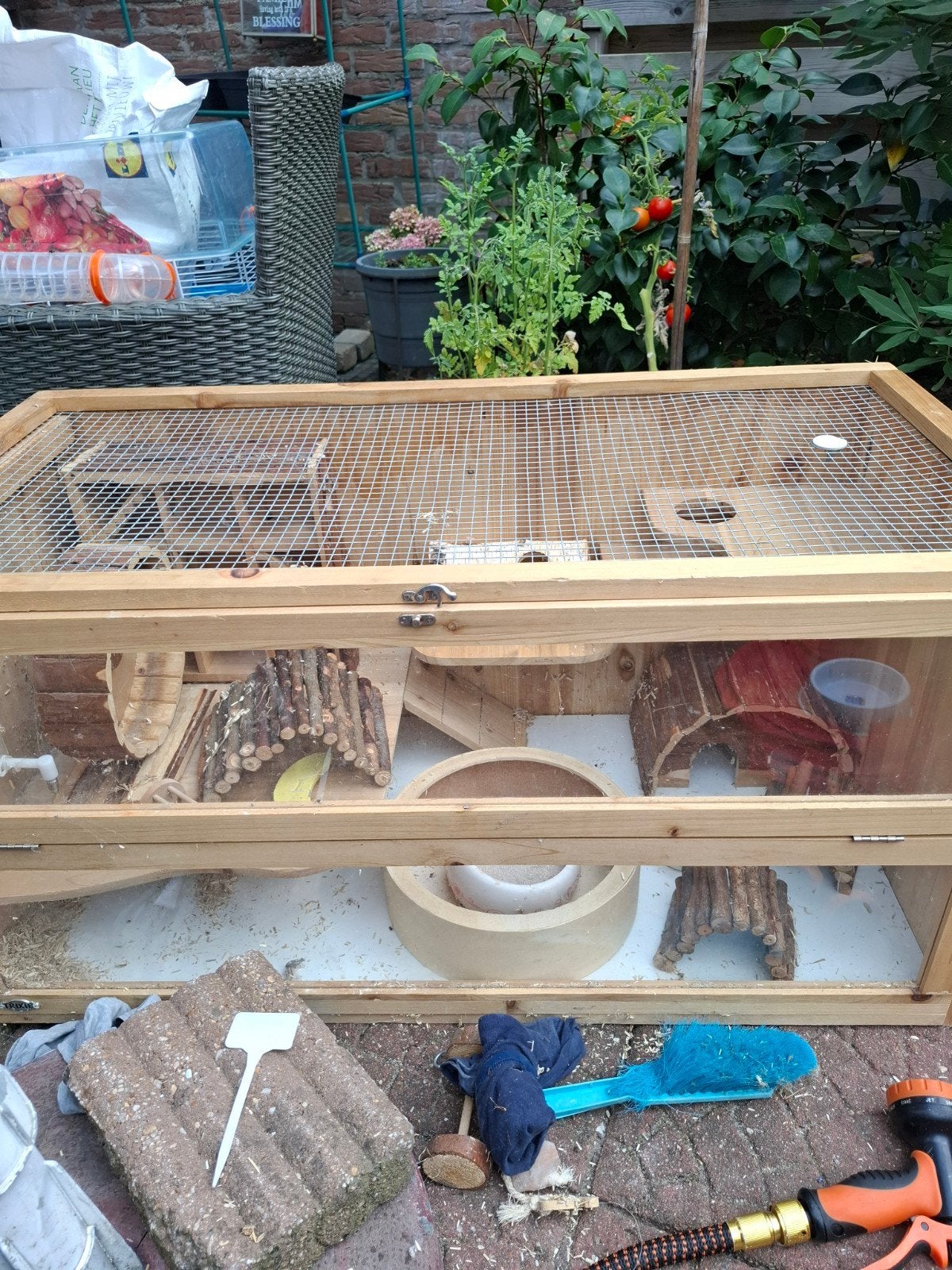 hamsterhok met voer en accessoires  en badzand en snoepjes, Kooi, Gebruikt, Hamster, 75 tot 110 cm