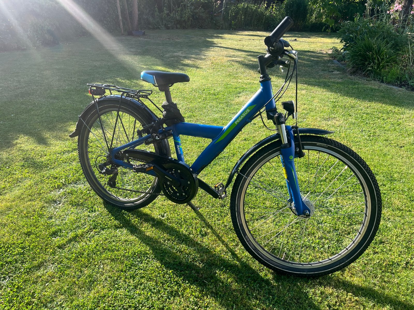Pegasus Kinderfiets - Blauw, uitstekende staat, Gebruikt, Velgrem, Versnellingen, Minder dan 49 cm