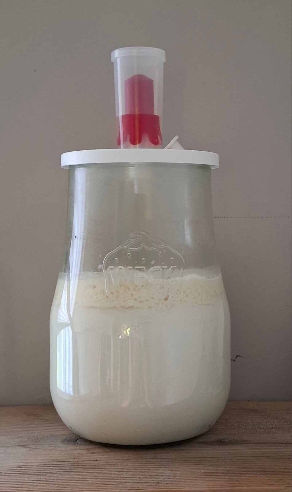 Kefir korrels, Ophalen