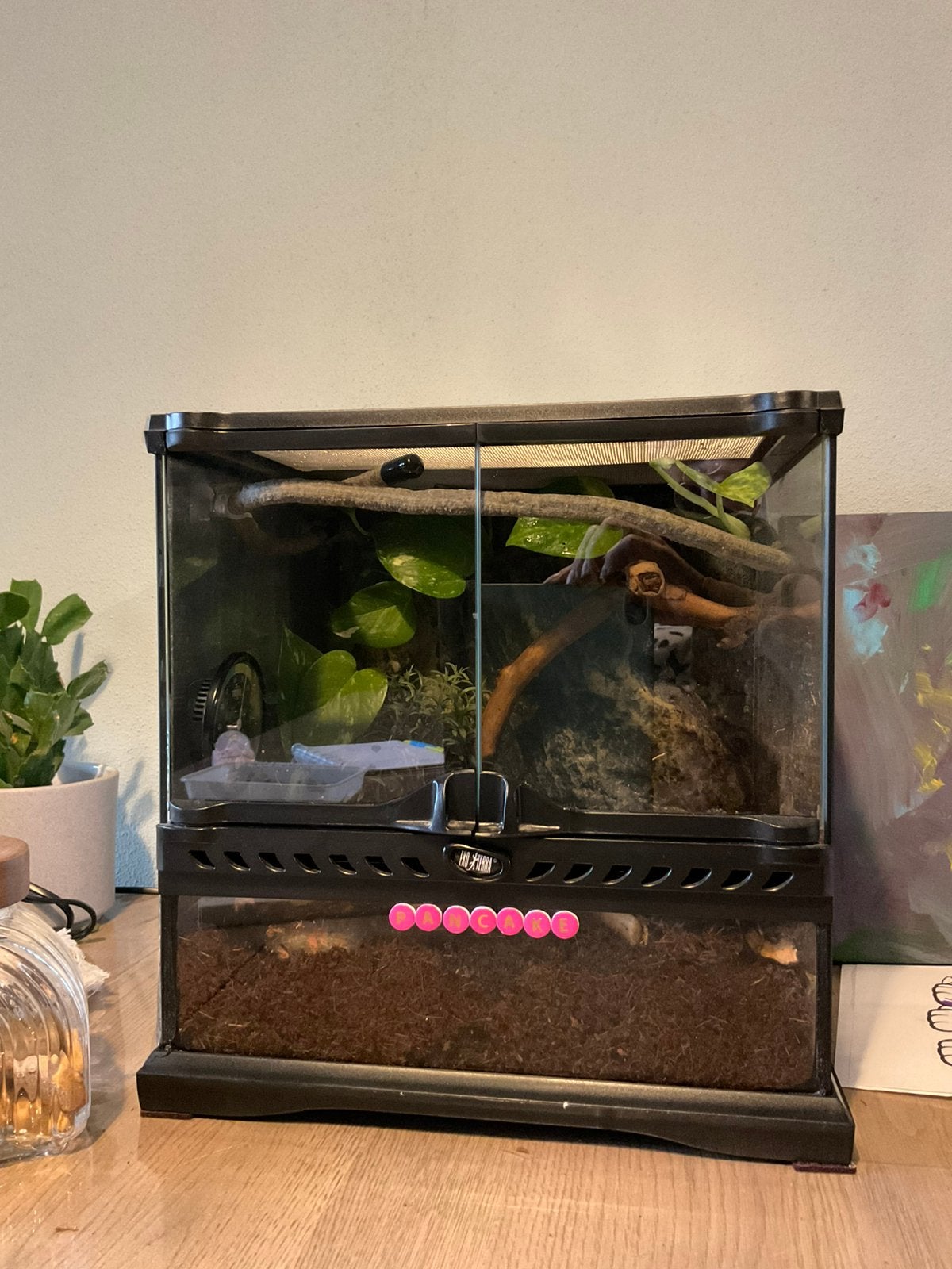 Exo terra terrarium 30/30/30, Ophalen, Zo goed als nieuw, Terrarium of Paludarium