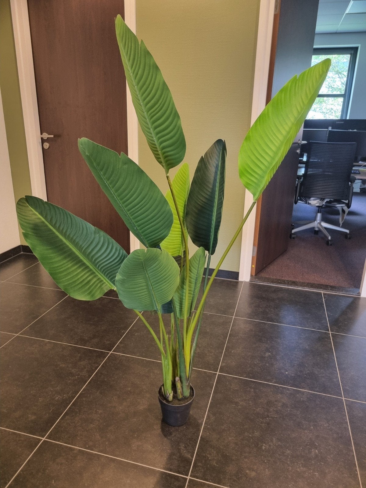 Grote Kunstplant Strelitzia - Realistisch en Onderhoudsvrij, Huis en Inrichting, Kamerplanten, Ophalen