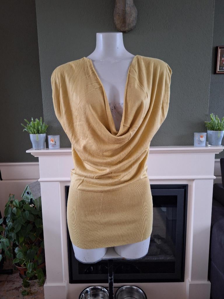 Phildar mooie mosterd kleur trui top S 36, Phildar, Geel, Ophalen of Verzenden, Zo goed als nieuw