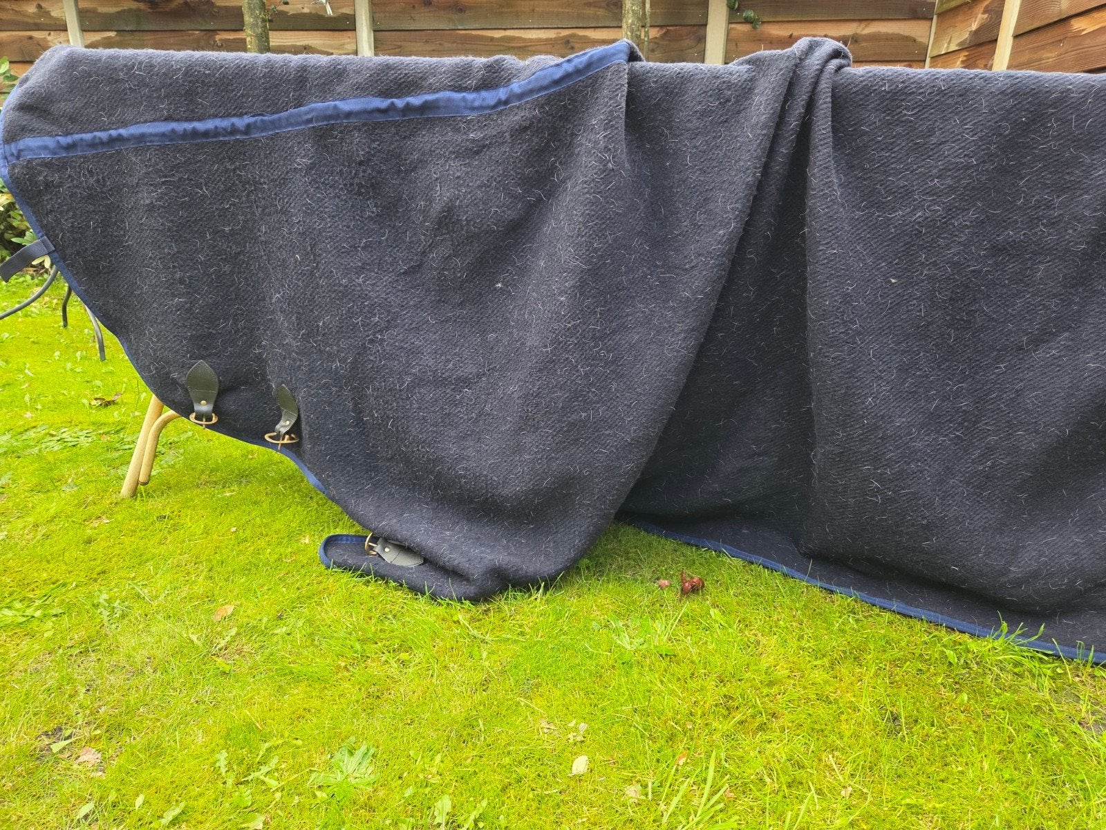 Wollen zweetdeken, Dieren en Toebehoren, Overige maten, Ophalen, Zo goed als nieuw, Blauw