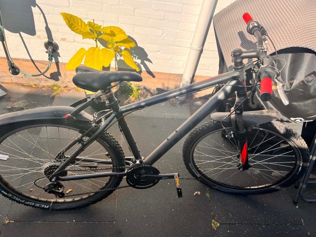 Byki pulsar Eco, Fietsen en Brommers, Fietsen | Mountainbikes en ATB, Gebruikt, Heren, 45 tot 49 cm, Ophalen