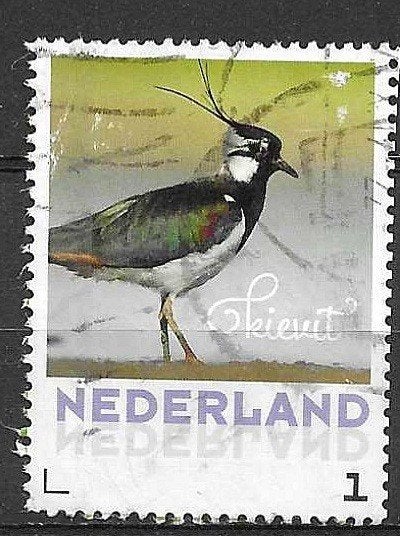 Nederland Kievit Postzegel, Ophalen of Verzenden, Na 1940, Gestempeld