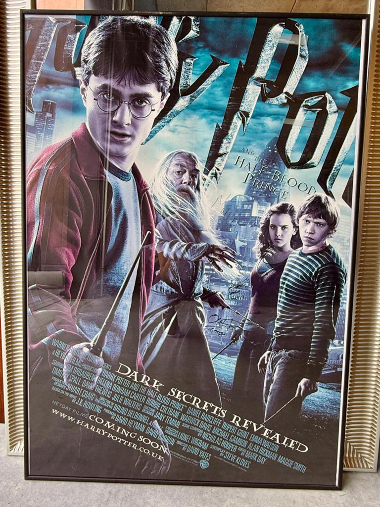 Te Koop Harry Potter poster met originele handtekeningen ., Verzamelen, Posters, Rechthoekig Staand, Met lijst, Deurposter of groter