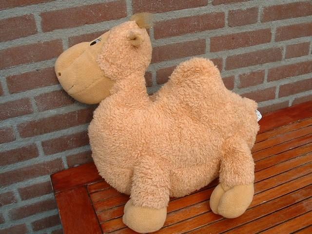 VAN DILLEN DROMEDARIS/KAMEEL ZACHTE LANGHARIGE, Ophalen of Verzenden, Nieuw, Overige typen