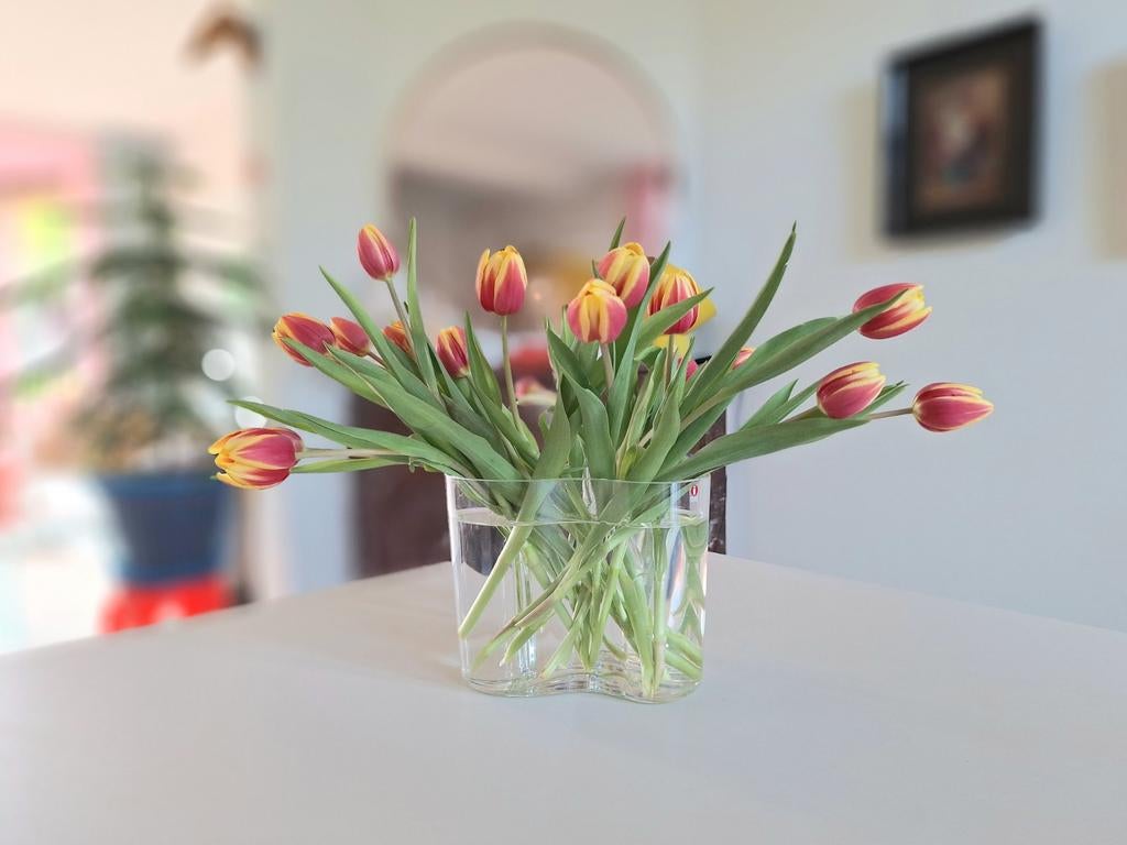 Littala vaas, Overige kleuren, Ophalen of Verzenden, Minder dan 50 cm, Glas