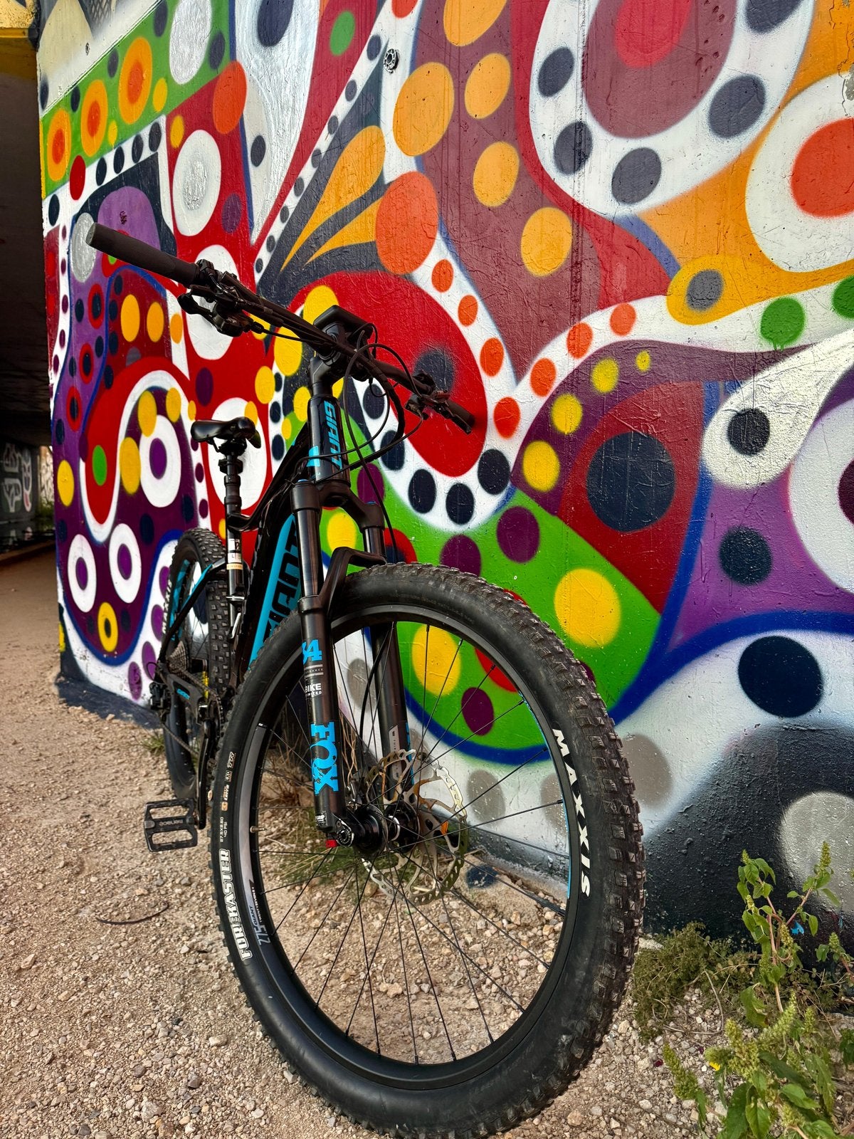 Giant Elektrische Mountainbike - Perfect voor avontuur!, Fietsen en Brommers, Fietsen | Mountainbikes en ATB, Zo goed als nieuw