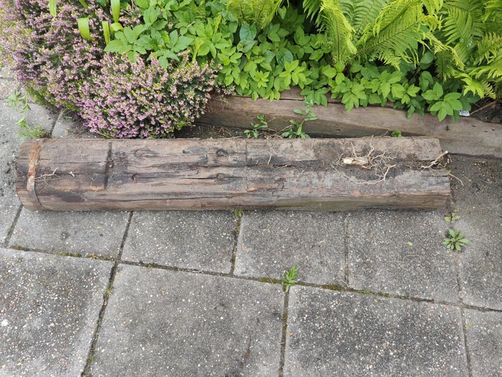 Bielz erg zwaar. Ongeveer 150cm, Tuin en Terras, Ophalen, Gebruikt, Minder dan 180 cm, Palen