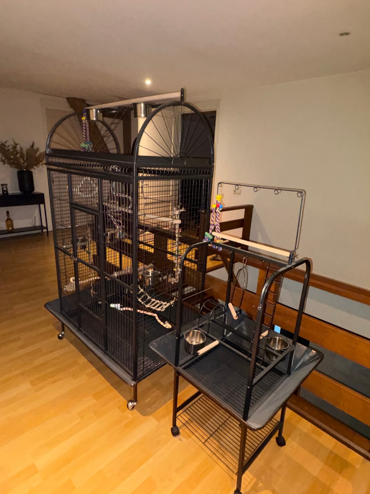 Grote vogelkooi + vogelstandaart + speelgoed, Dieren en Toebehoren, Ophalen, Nieuw, Kooi-accessoires