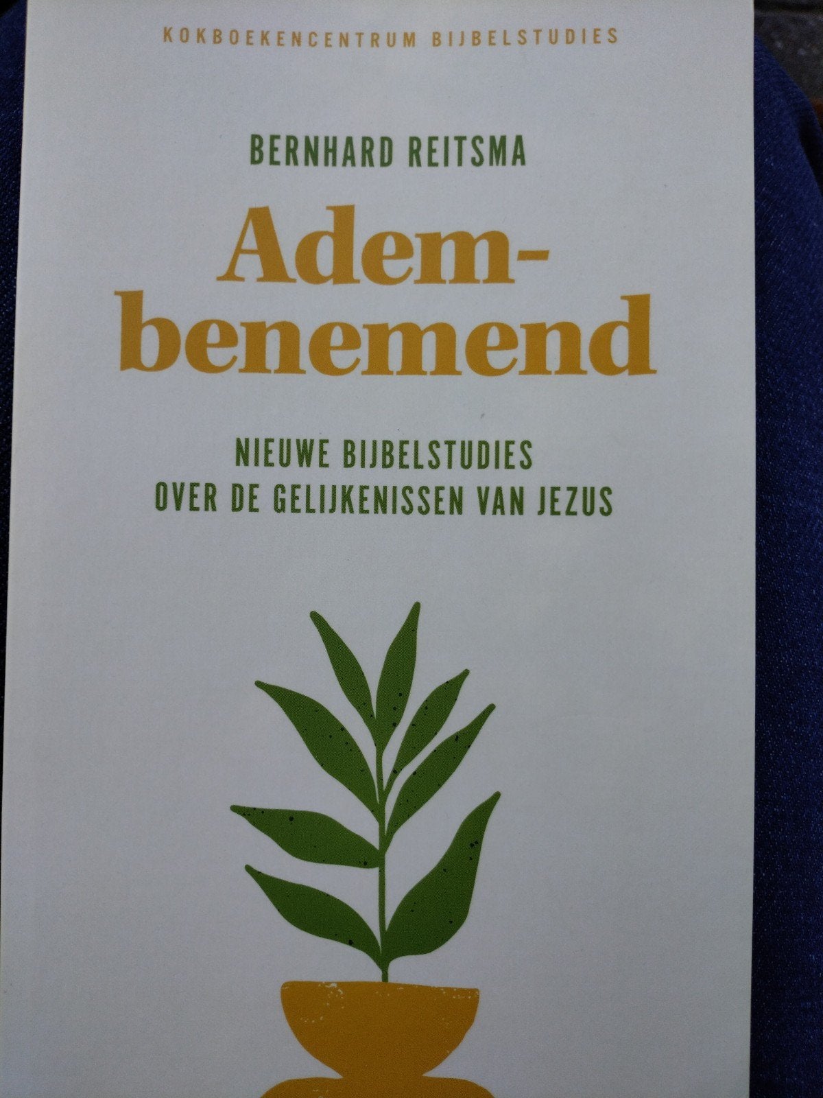 Adem-benemend: Nieuwe Bijbelstudies over Jezus gelijkenissen, Ophalen of Verzenden, Zo goed als nieuw, Bernhard Reitsma, Christendom | Protestants