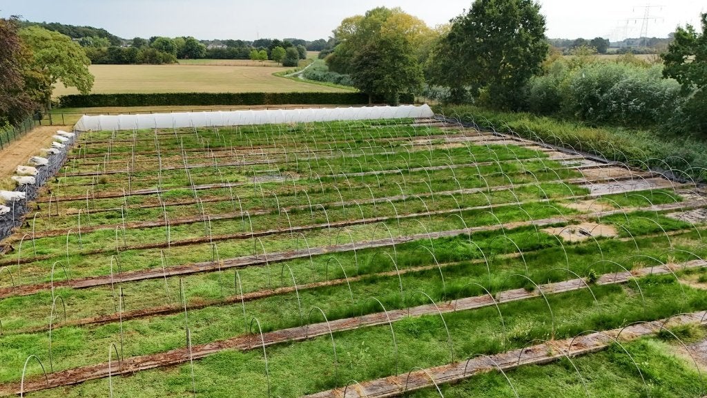 Tunnelkassen, Tuin en Terras, Kassen, Ophalen, Gebruikt, Folie, Kweekkas