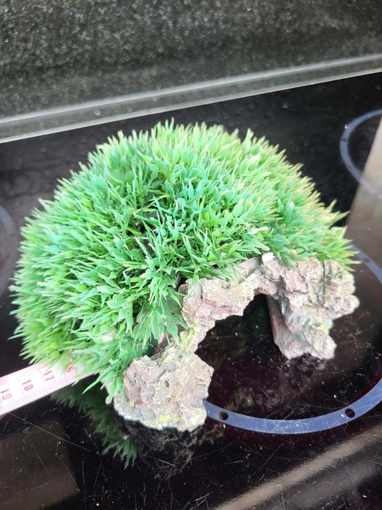 Ornament aquarium, Ophalen, Gebruikt, Leeg aquarium