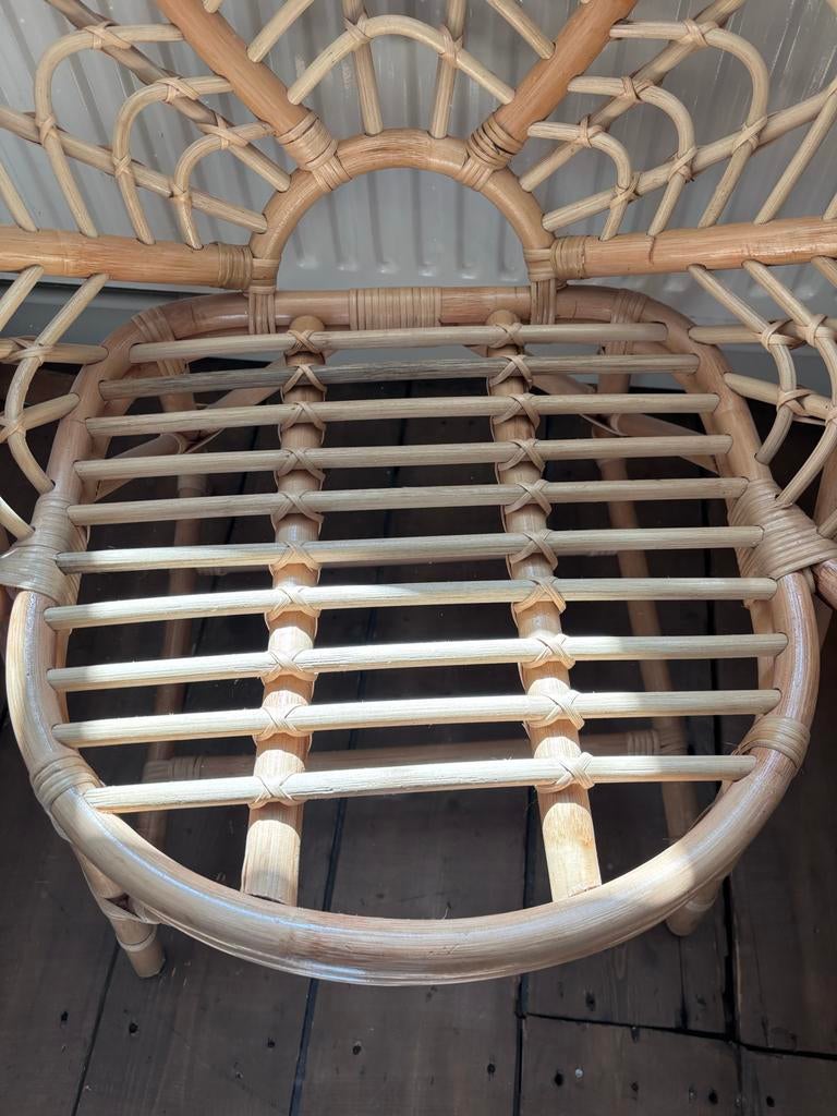 Xenos rotan stoel - Bloem design, Huis en Inrichting, Stoelen, Ophalen of Verzenden, Zo goed als nieuw, Overige kleuren, Eén