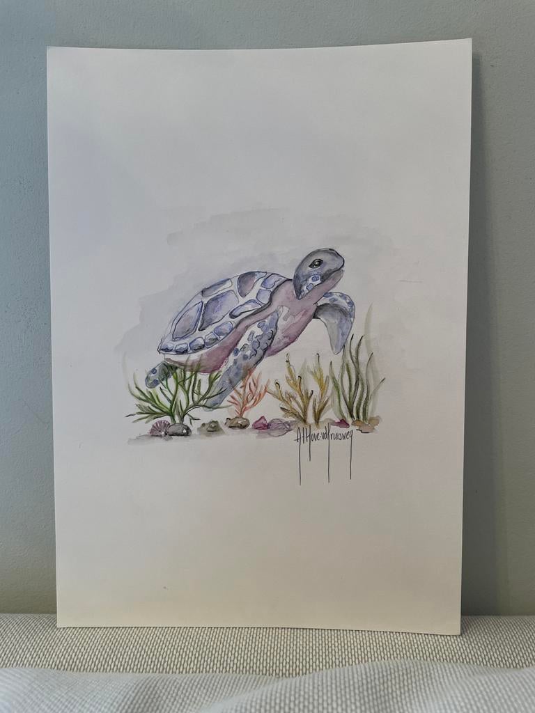 Aquarel tekening schildpad A4, Ophalen of Verzenden