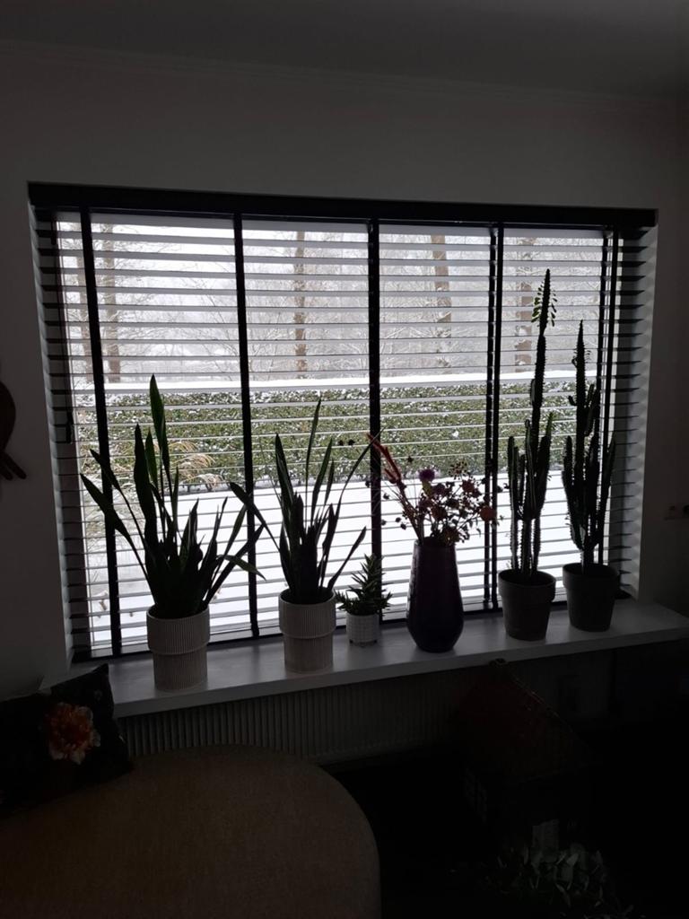 Lamellen zwart 2 stuks, Verzenden, Zo goed als nieuw, Zwart