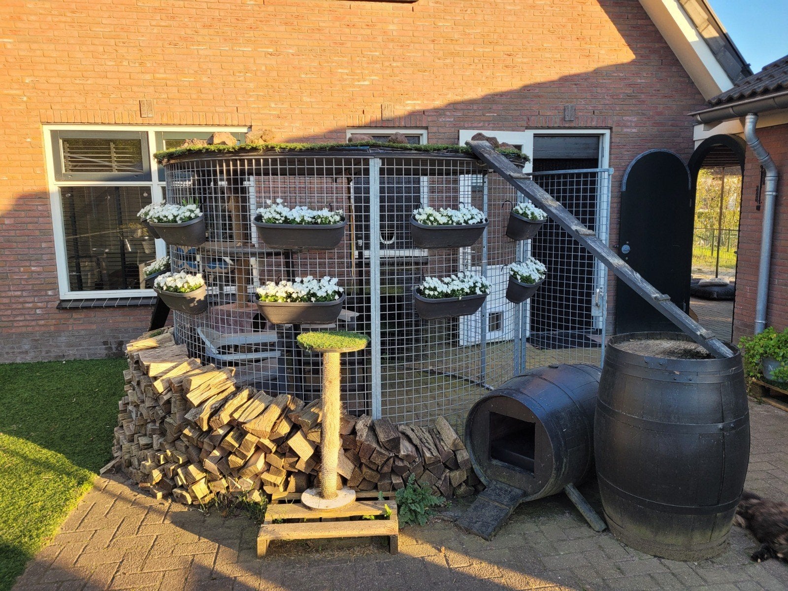 Kattenren/buitenverblijf  van 260cm Ø, Ophalen