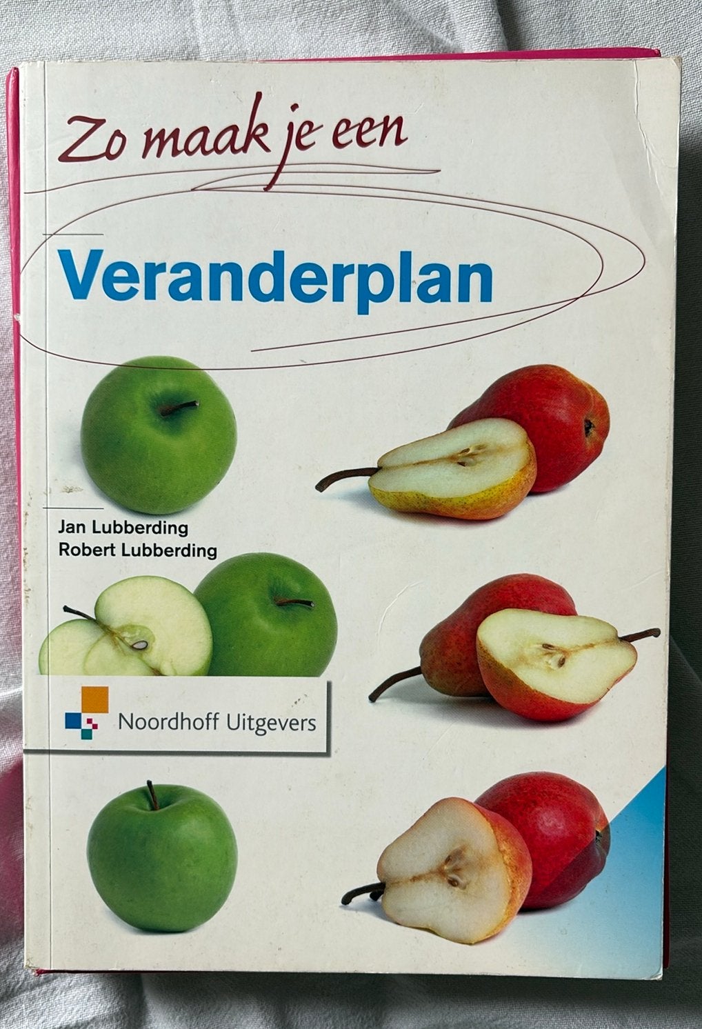 Robert Lubberding - Zo maak je een veranderplan, Ophalen of Verzenden, Zo goed als nieuw, Robert Lubberding; Jan Lubberding