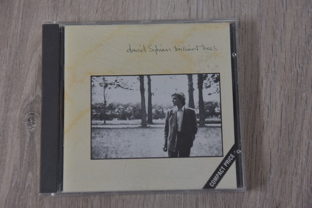 DAVID SYLVIAN === BRILLIANT TREES, Verzenden, Inclusief doosje, Zo goed als nieuw, Singer-songwriter