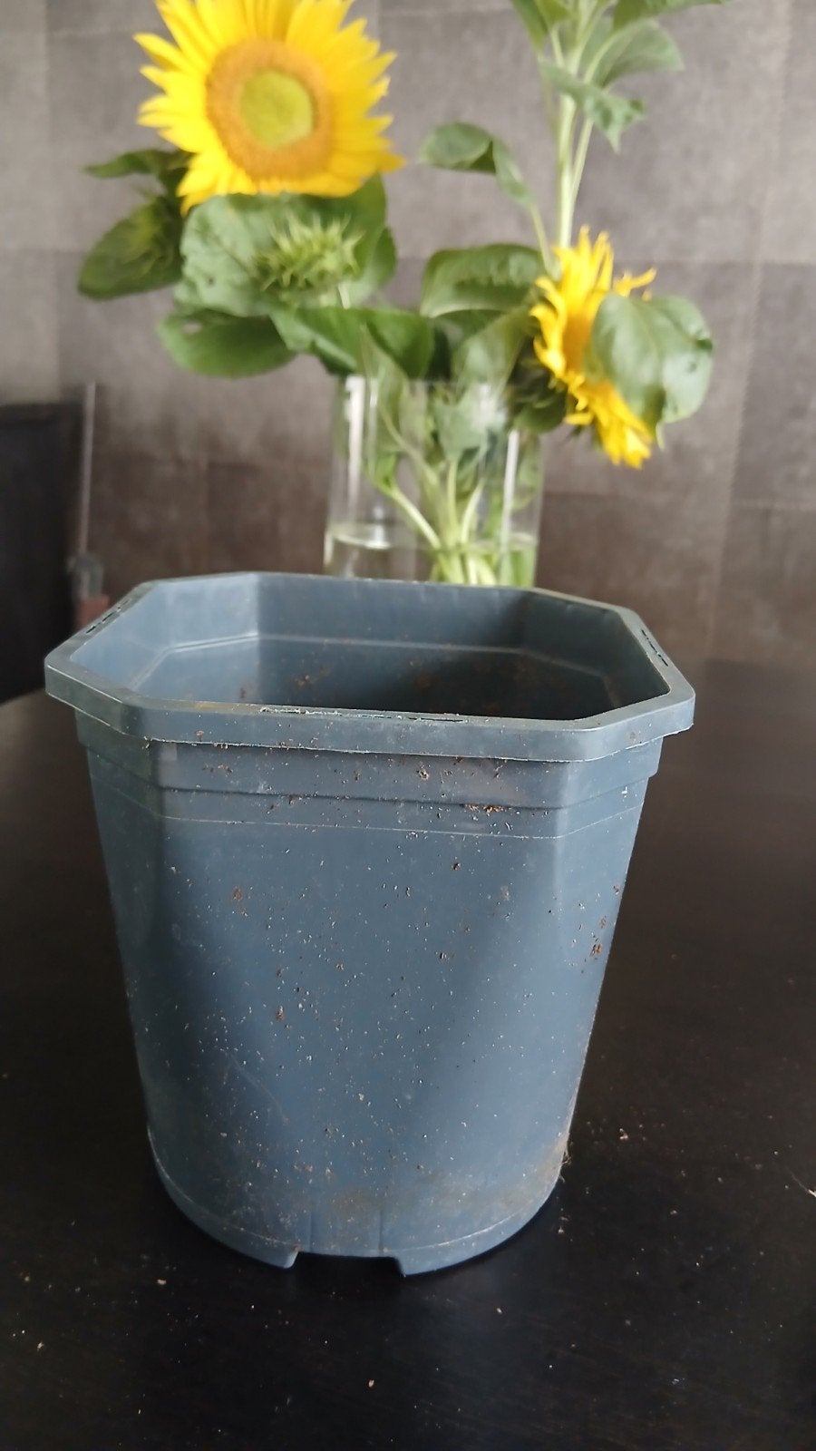 Gebruikte kweekpotten van 2 liter, Kunststof, Gebruikt, Vierkant, Ophalen of Verzenden