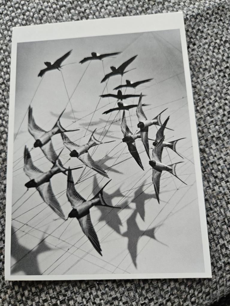 zwaluwen in vlucht, 1991, Verzamelen, Ophalen of Verzenden, 1980 tot heden, Gelopen, Natuur
