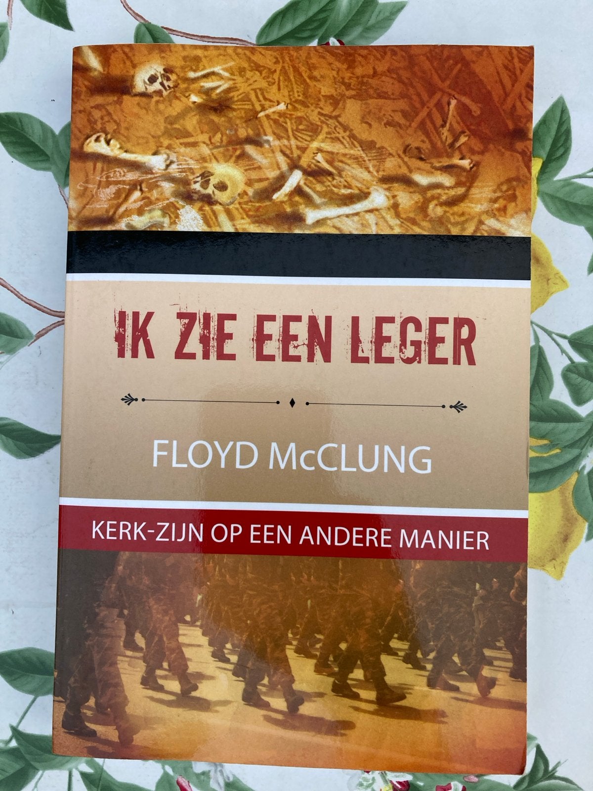 Bb Floyd Mcclung - Ik zie een leger, Boeken, Floyd Mcclung, Christendom | Protestants, Ophalen of Verzenden, Zo goed als nieuw