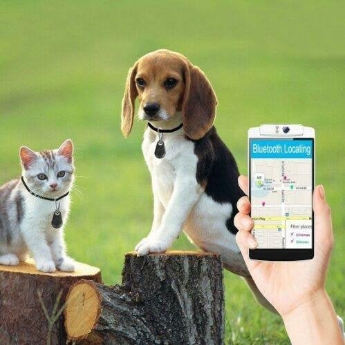 Kat Finder Catfinder Hond Finder Dogfinder GPS Tracker BT4.0, Dieren en Toebehoren, Ophalen of Verzenden, Nieuw