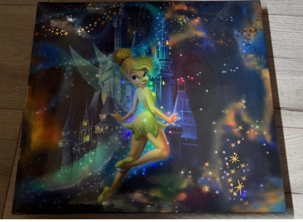 Disney World Scrapbook - The Happiest Celebration On Earth, Hobby en Vrije tijd, Scrapbooking, Ophalen of Verzenden, Gebruikt