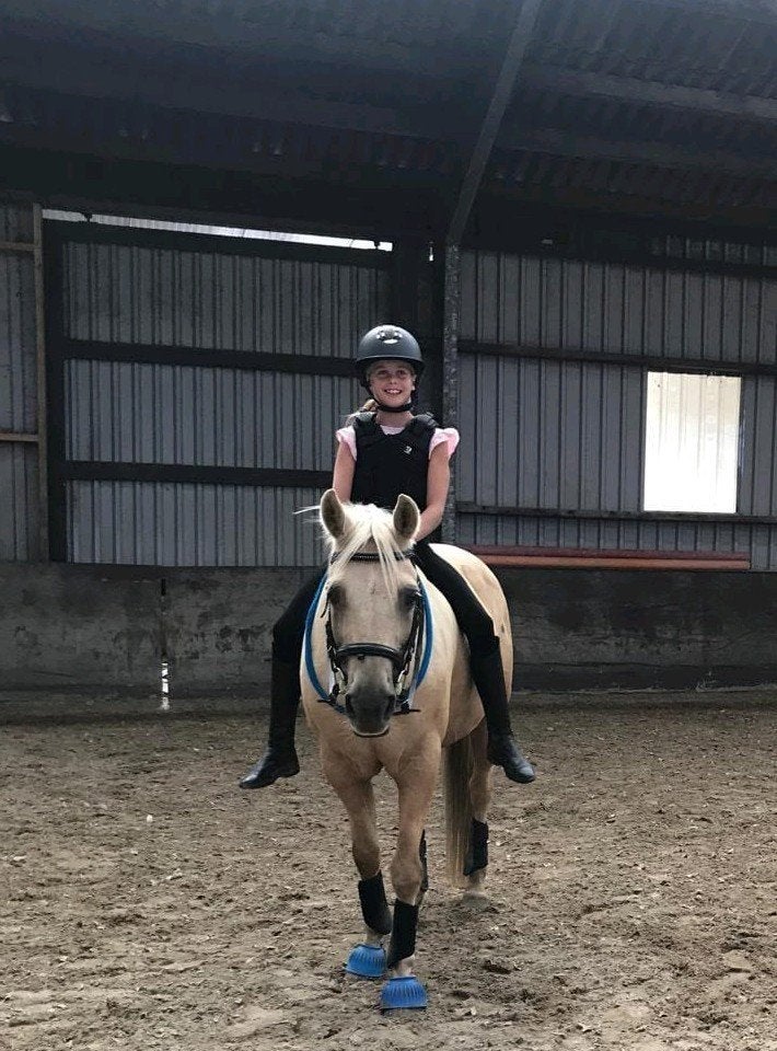 Verzorgpony / shetlander gezocht, Ophalen of Verzenden