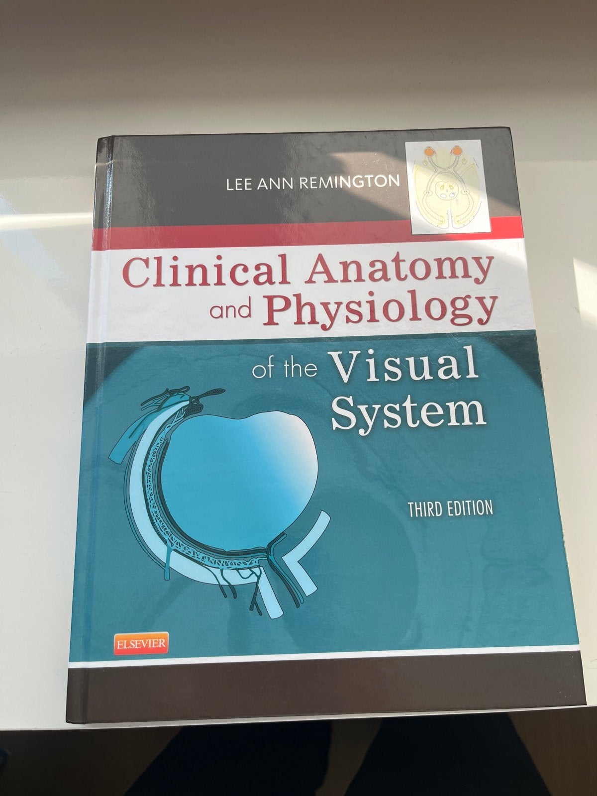 Clinical Anatomy and Physiology of the Visual System, Ophalen of Verzenden, Beta, Zo goed als nieuw, HBO