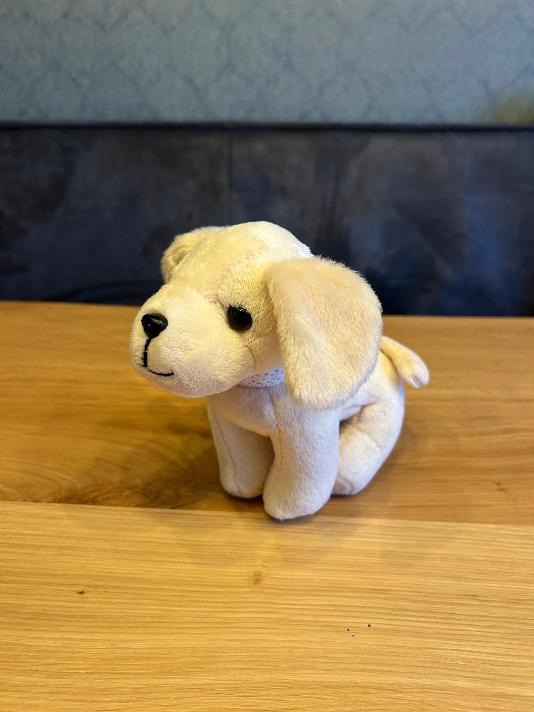 Our Generation - Golden Retriever, Ophalen, Zo goed als nieuw, Babypop