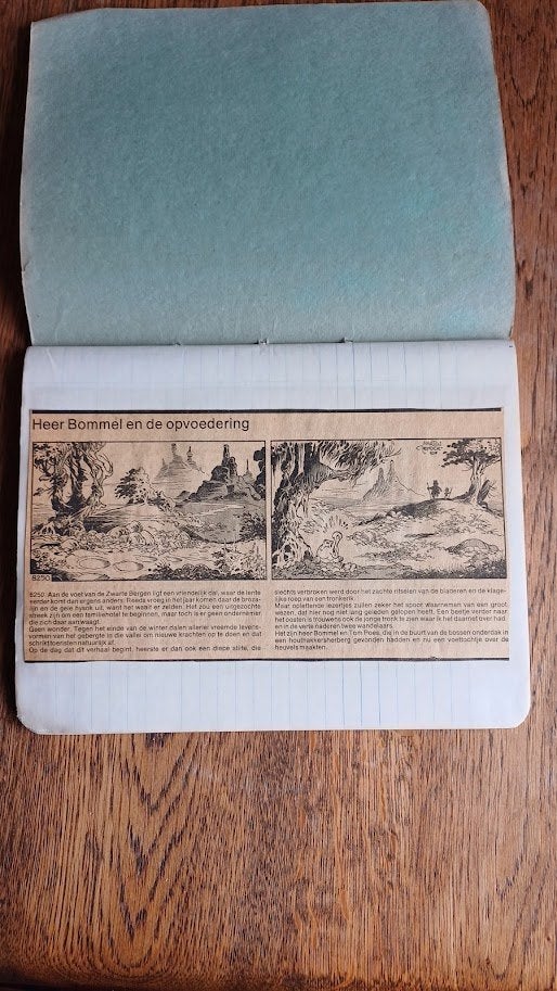 TOM POES: Heer Bommel en de opvoedering Marten Toonder 1975, Boeken, Stripboeken, Gelezen, Marten Toonder, Eén stripboek, Ophalen of Verzenden