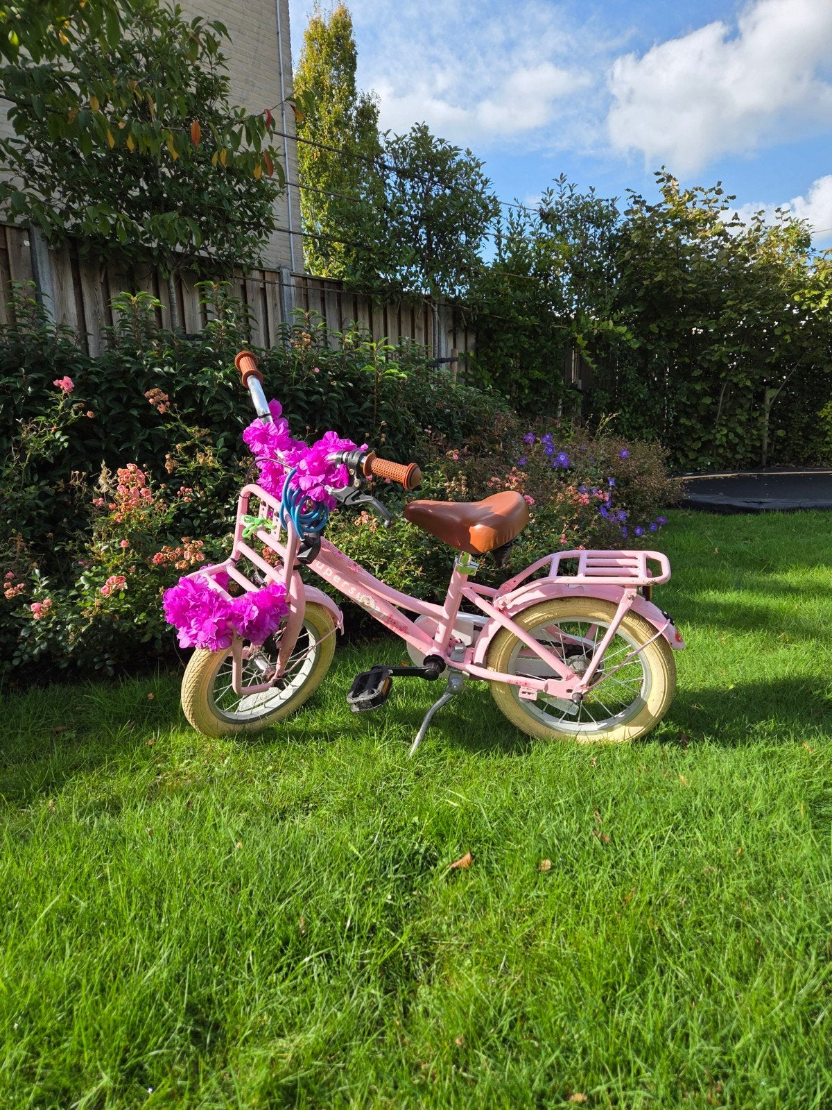 Roze kinderfiets 14 inch - Perfect voor jonge avonturiers, Ophalen, Terugtraprem, Gebruikt, 14 inch of minder
