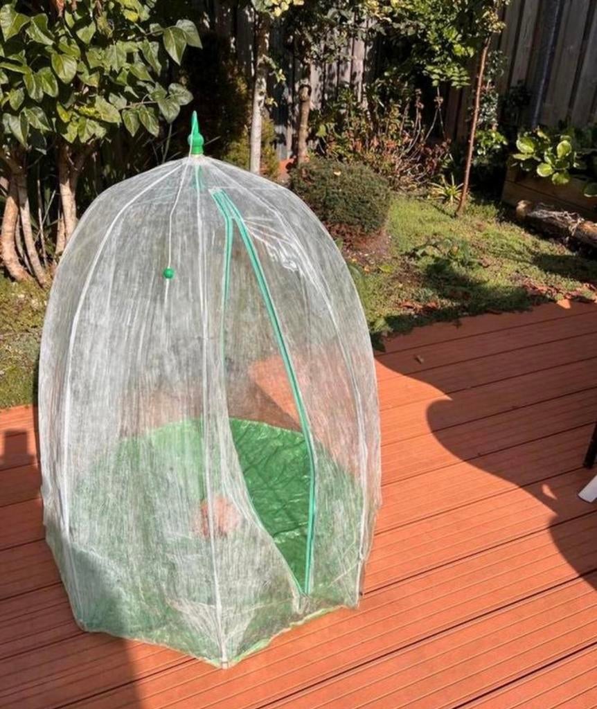 Compact plantenkasje, ideaal voor tuin of balkon, Ophalen, Overige materialen, Folie, Kweekkas