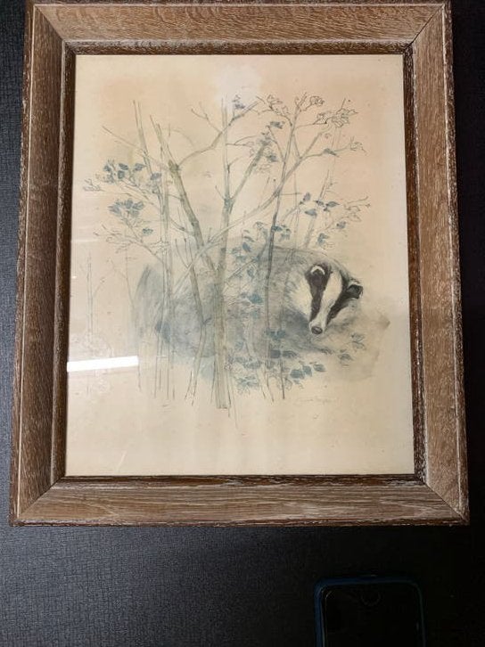 Ingelijste tekening van een das, 34x28 cm, Ophalen of Verzenden, Tekening, Potloodtekening, Ingelijst