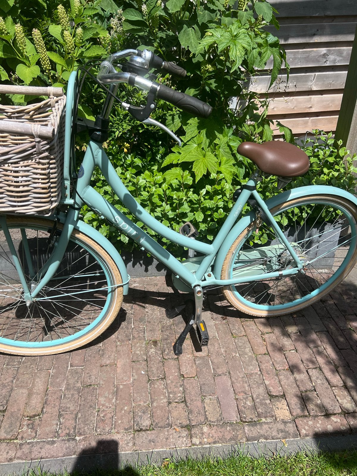 Leuke mintgroene damesfiets met mand, Fietsen en Brommers, Fietsen | Dames | Damesfietsen, Overige merken, Terugtraprem, Ophalen of Verzenden