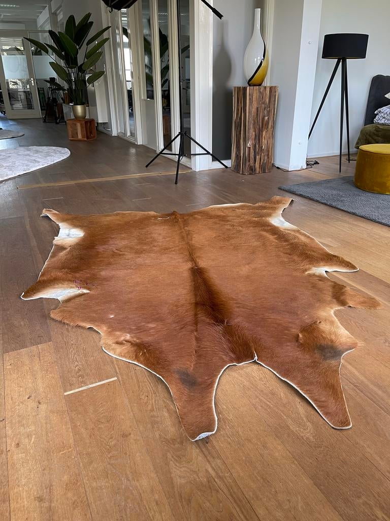 Mooie bruine koeienhuid, Ophalen, Gebruikt, 100 tot 150 cm, Bruin