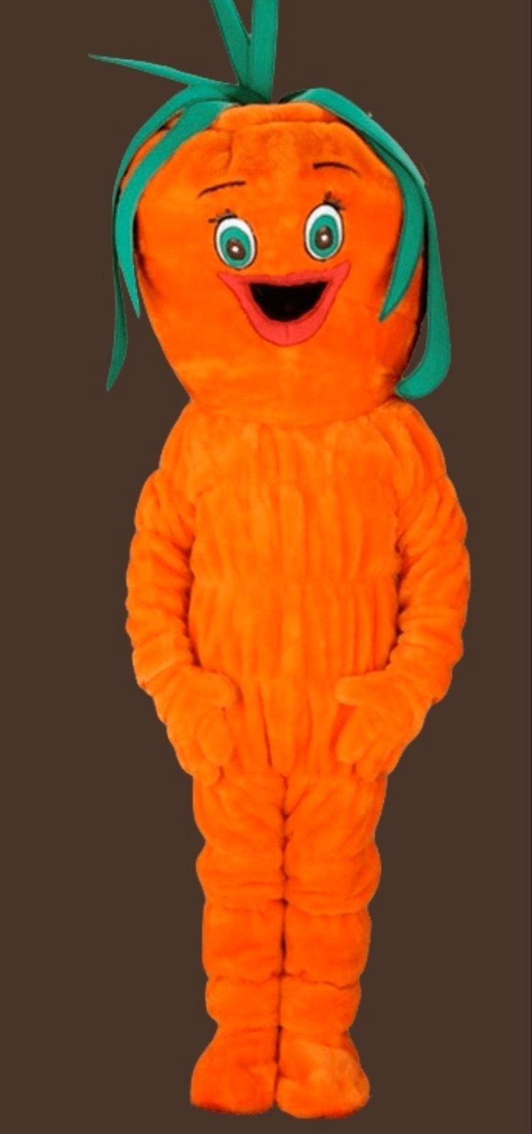 Mascotte kostuums, Ophalen of Verzenden