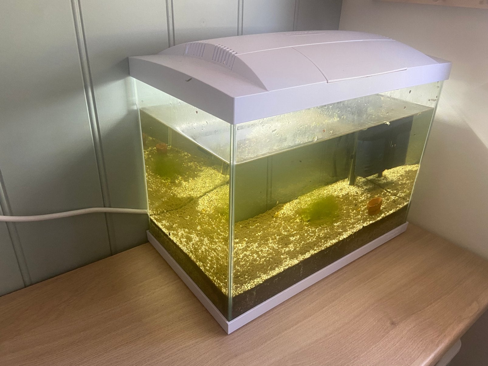 Aquarium superfish 50L, Dieren en Toebehoren, Insecten en Spinnen
