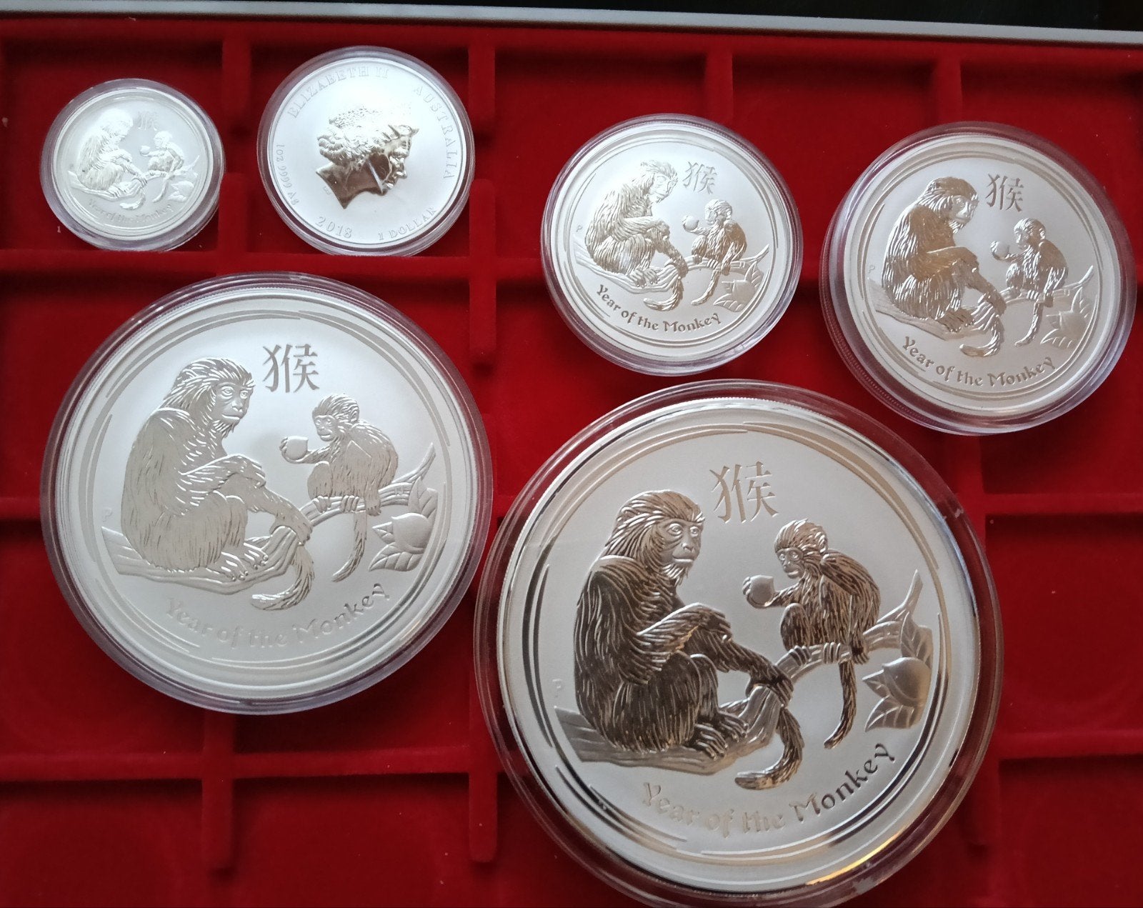 Zilveren Lunar Munten 1/2 Oz 1 Oz 2 Oz 5 Oz 10 Oz en Kg, Ophalen of Verzenden, Zilver