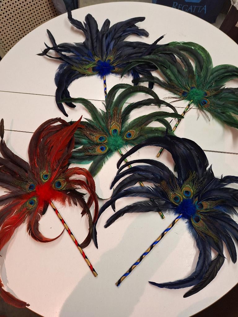 5 carnaval pluimdecoraties, Ophalen of Verzenden, Nieuw, Meerkleurig, Overige materialen