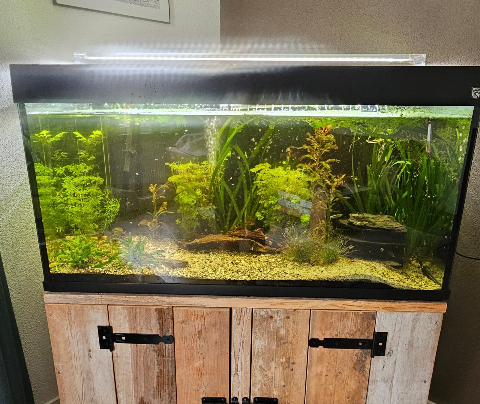 Aquarium met onderkast, Ophalen, Zo goed als nieuw, Leeg aquarium, Overige merken
