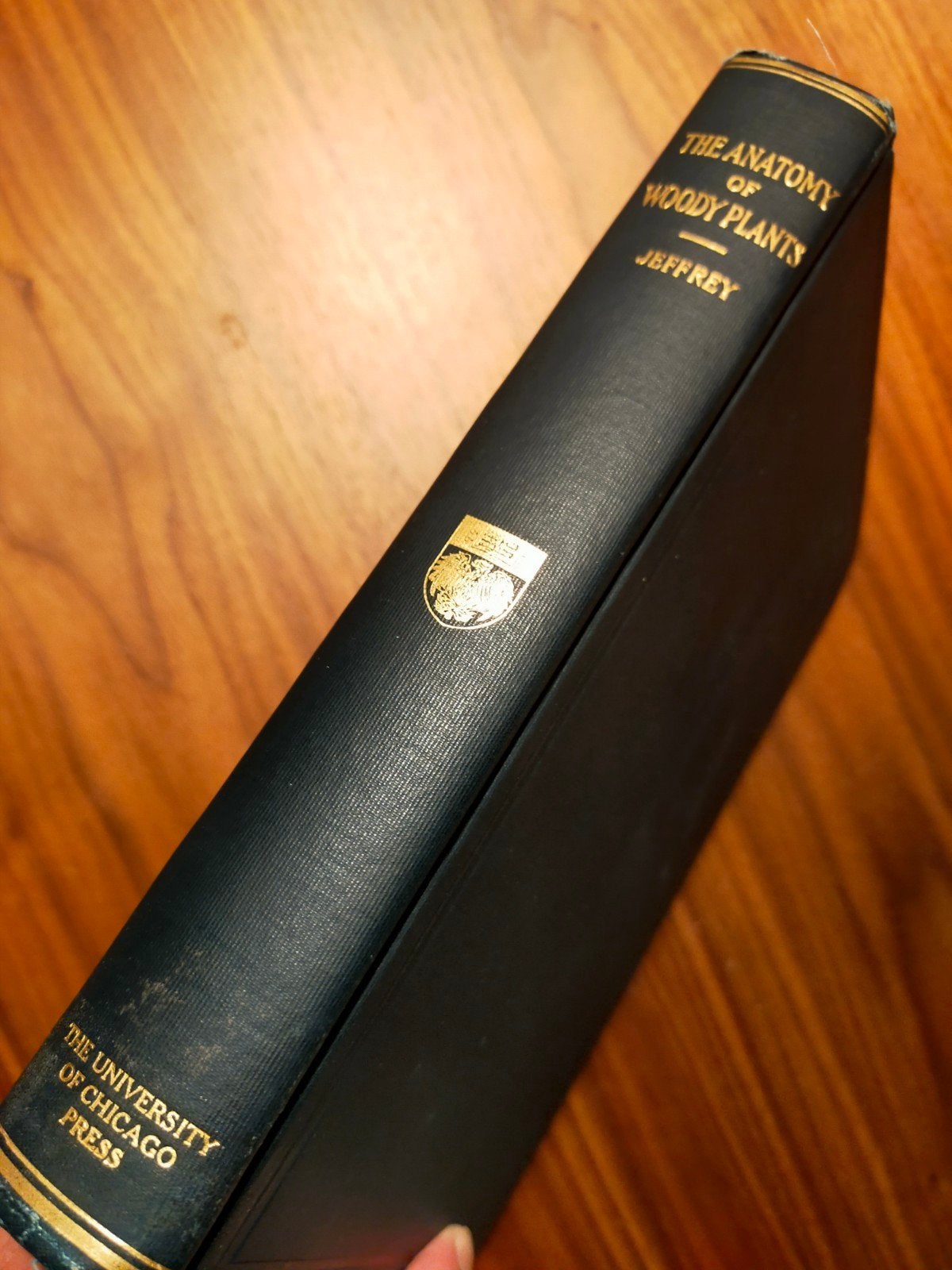 The Anatomy of Woody Plants - Jeffrey - 1922 (excellent), Ophalen of Verzenden, Zo goed als nieuw, Natuurwetenschap