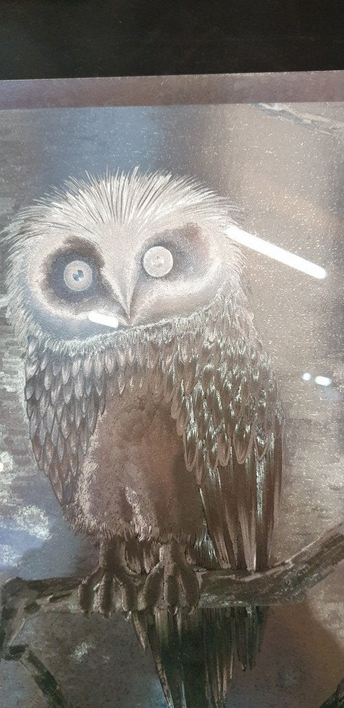 schilderij uilen aluminium, Ophalen of Verzenden, 'T Olde Gre-j, Info@toldegrej.nl, Endepoelstraat 20f Didam