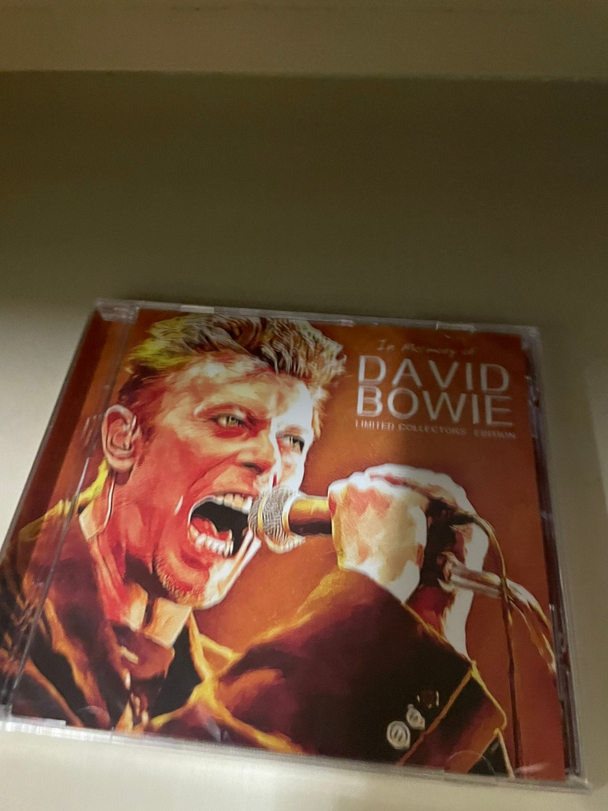 Cd david bowie in memory of geseald, Ophalen of Verzenden, Zo goed als nieuw, Poprock