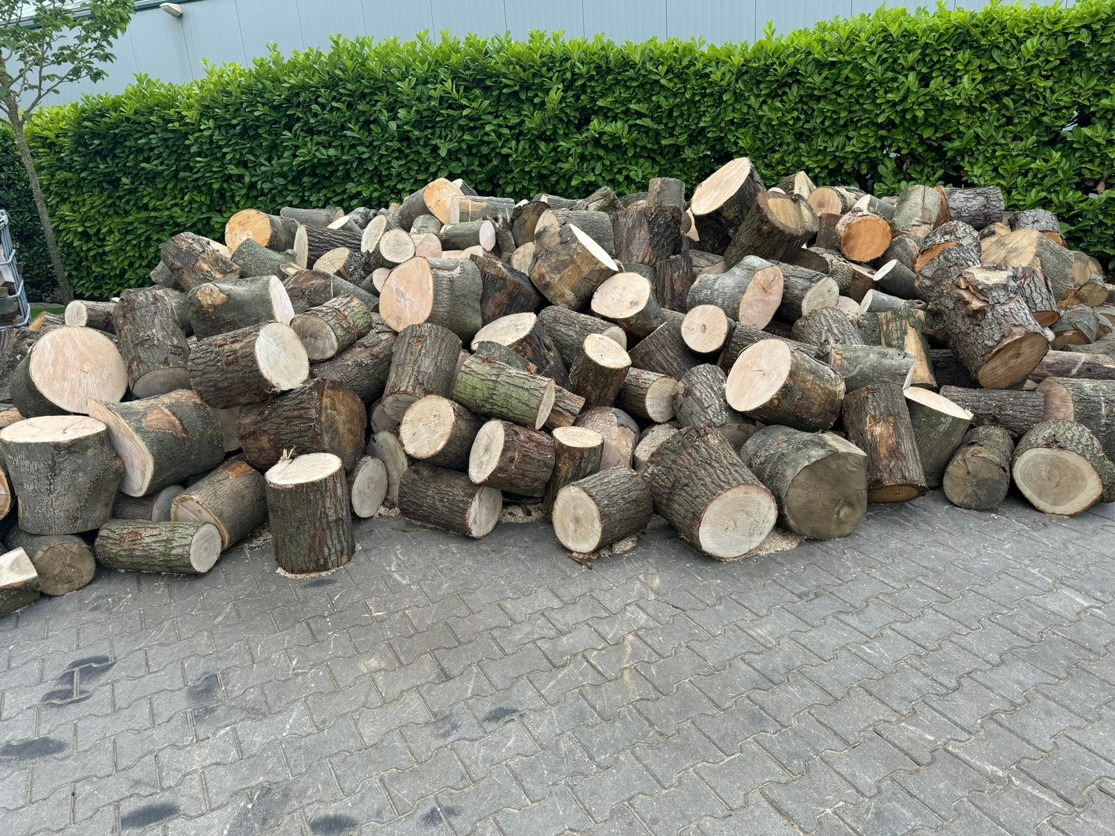 Dikke vracht 4,8 kuub eiken Essen haardhout thuisbezorgd