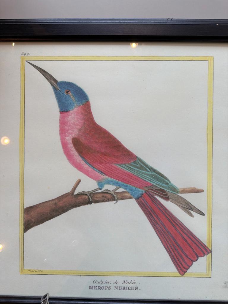 Antieke handgekleurde gravure van een bijeneter, Martinet, Huis en Inrichting, Woonaccessoires | Spiegels, Zo goed als nieuw, Minder dan 50 cm